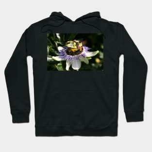 Bumble Bee Hoodie